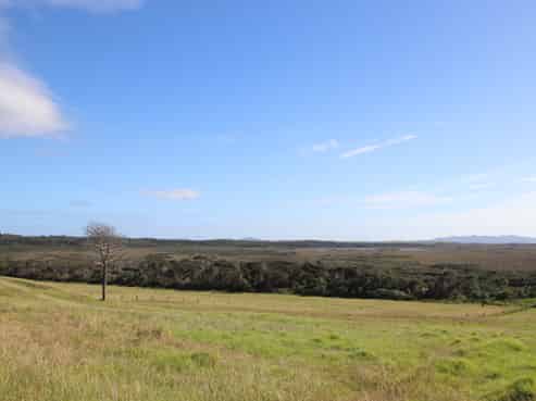 (S19) Lake Ohia Road, Karikari Peninsula