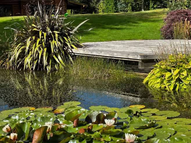 81 Mt Lyford Avenue, Lyford