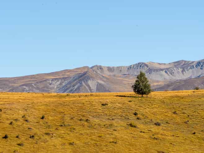 25 Musterers Way, TWIZEL