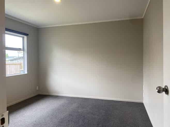 158a Nixon Street, Hamilton East