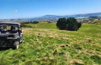 319 Ohautira Road, Raglan