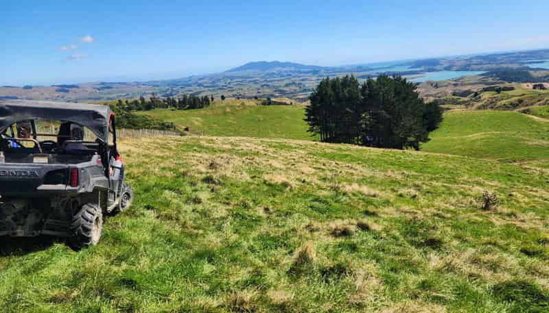 319 Ohautira Road, Raglan