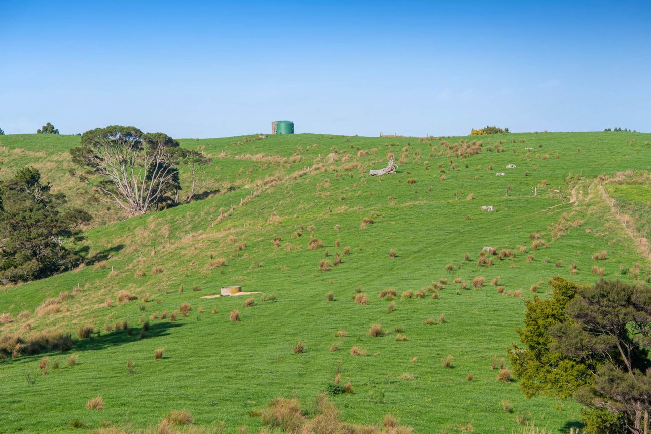 The High-Country Heart - Ansicht 6