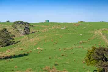 Lot 19 Anderson Road, Helensville