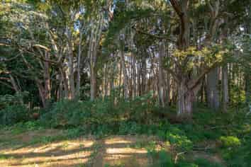 Lot 19 Anderson Road, Helensville