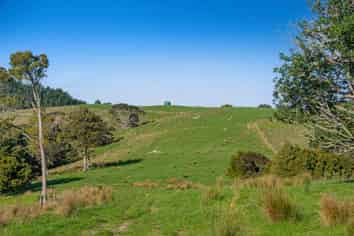 Lot 19 Anderson Road, Helensville
