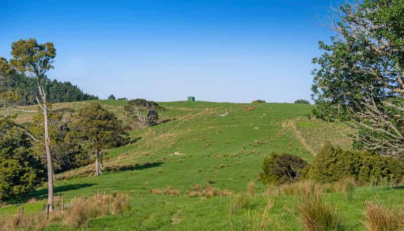 Lot 19 Anderson Road, Helensville