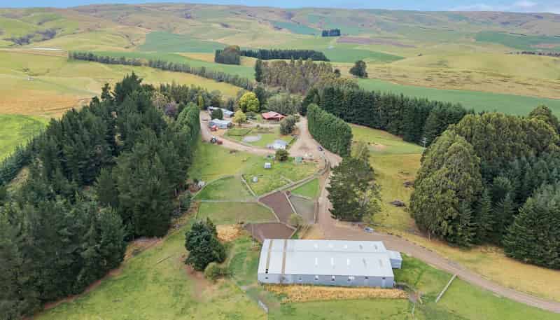 665-901 Tima Burn Road, Teviot