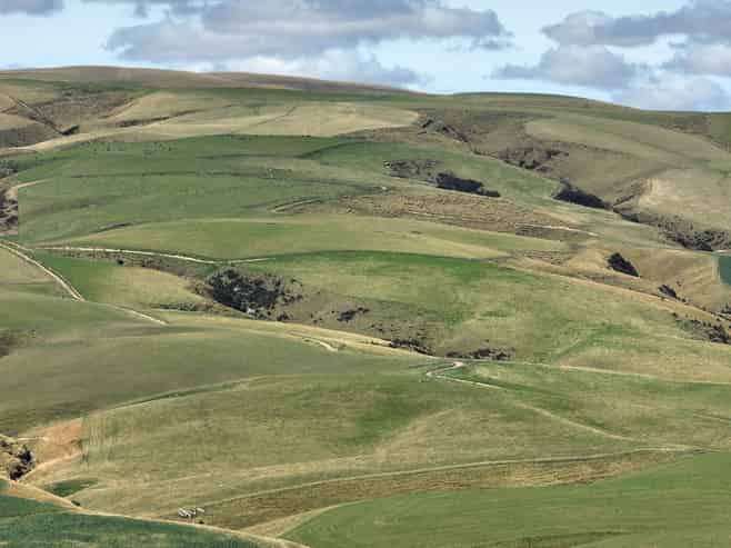 665-901 Tima Burn Road, Teviot