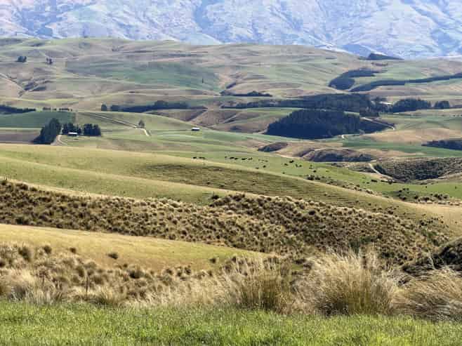 665-901 Tima Burn Road, Teviot