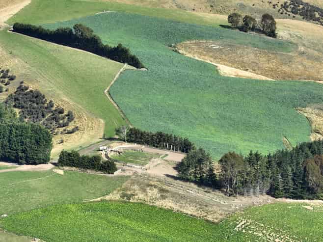 665-901 Tima Burn Road, Teviot