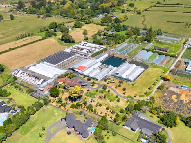 123 Jesmond Road, Drury