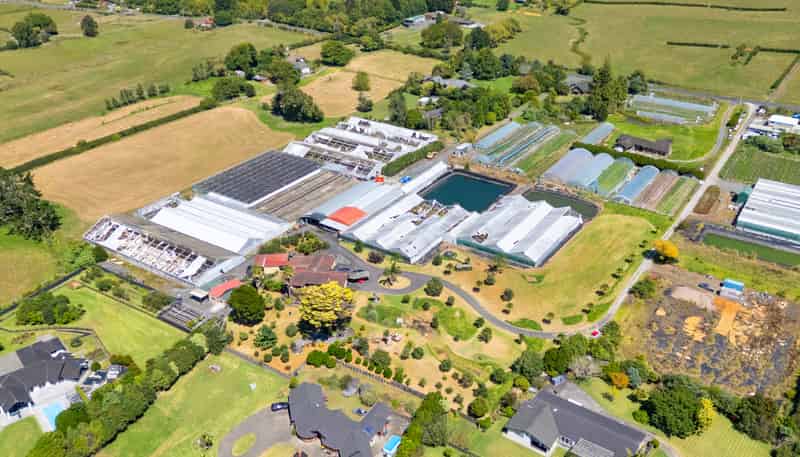 123 Jesmond Road, Drury