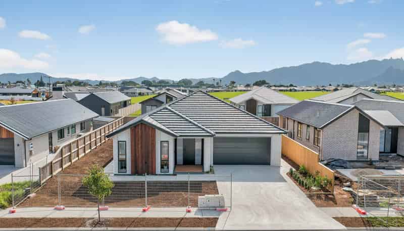 24 Beveridge Road, One Tree Point