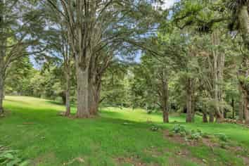 81 Crane Road, Ngararatunua