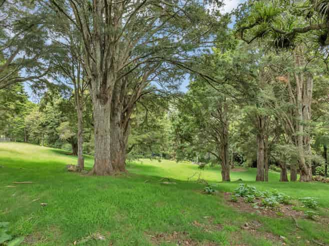 81 Crane Road, Ngararatunua