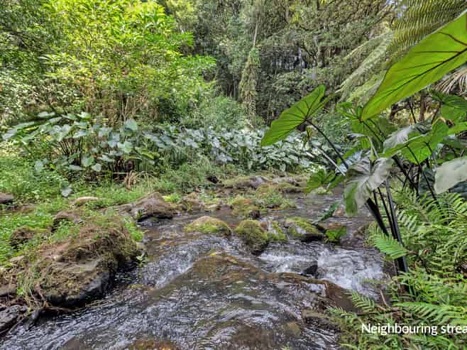 81 Crane Road, Ngararatunua