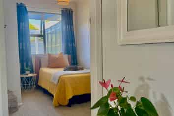 8/289D Carrington Street, Vogeltown