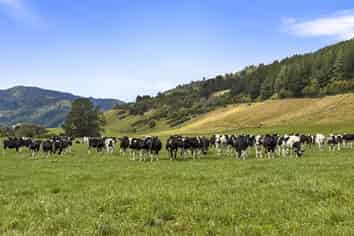 1 Takapari Road, Pohangina