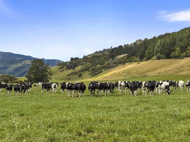 1 Takapari Road, Pohangina