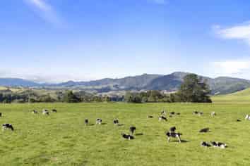 1 Takapari Road, Pohangina