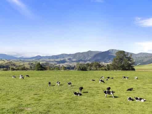 1 Takapari Road, Pohangina