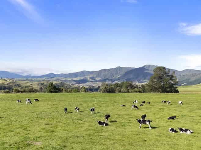 1 Takapari Road, Pohangina