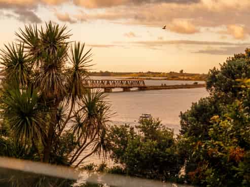 1/14 First Avenue, Tauranga Central