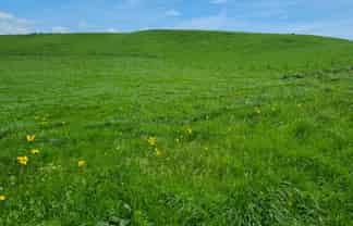 0n Upper Stuart Road, Eltham