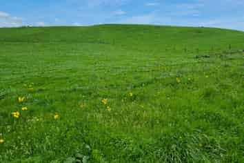 0n Upper Stuart Road, Eltham