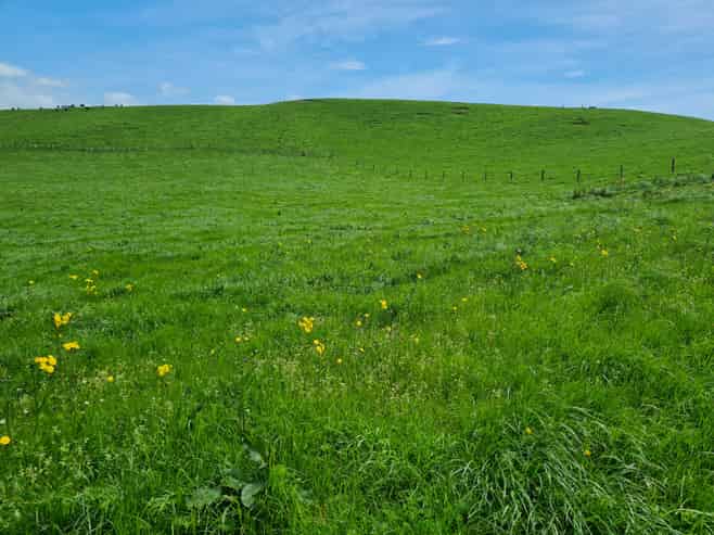 0n Upper Stuart Road, Eltham