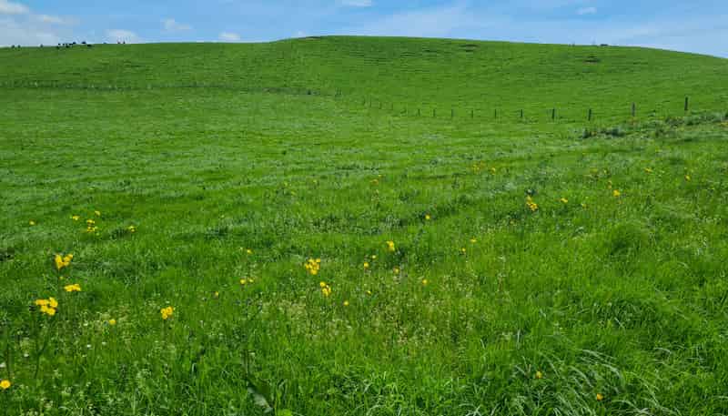 0n Upper Stuart Road, Eltham