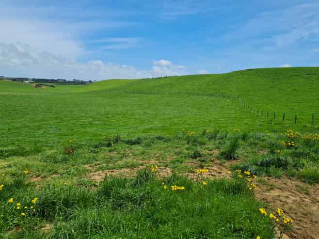 0n Upper Stuart Road, Eltham