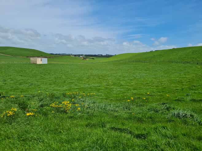 0n Upper Stuart Road, Eltham