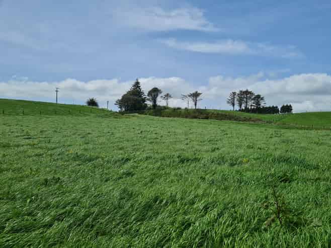 0n Upper Stuart Road, Eltham