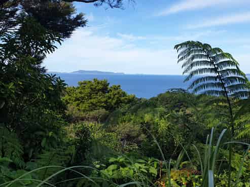 492 Tuateawa Road, Coromandel