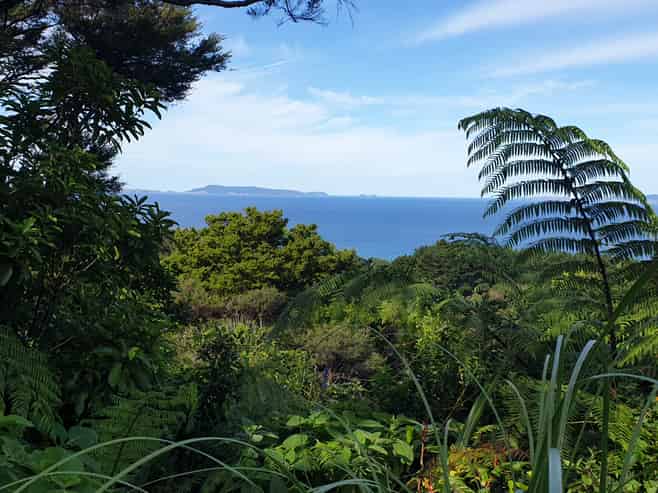 492 Tuateawa Road, Coromandel