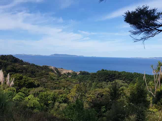 492 Tuateawa Road, Coromandel