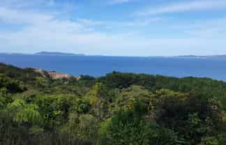 492 Tuateawa Road, Coromandel