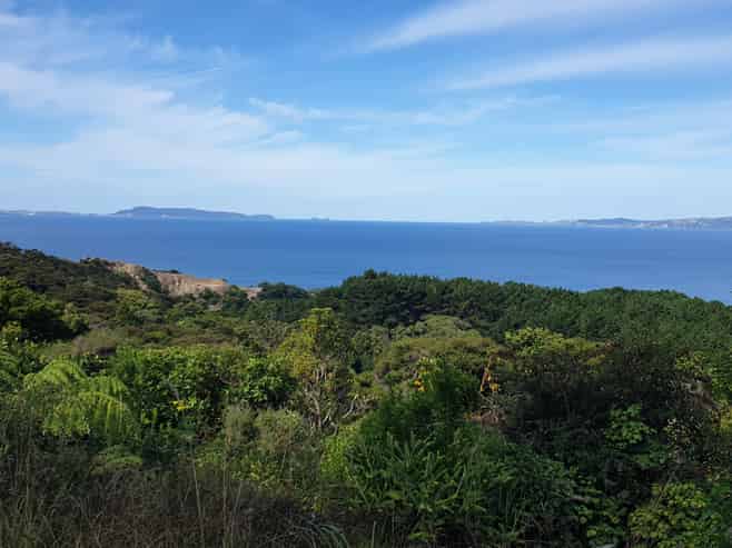 492 Tuateawa Road, Coromandel