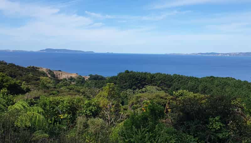 492 Tuateawa Road, Coromandel