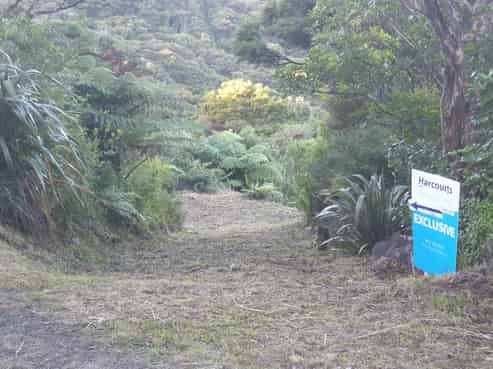492 Tuateawa Road, Coromandel