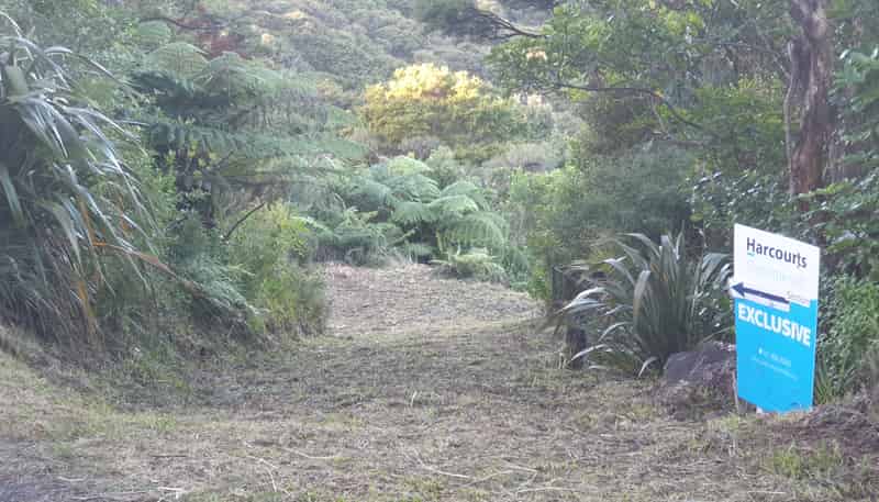 492 Tuateawa Road, Coromandel