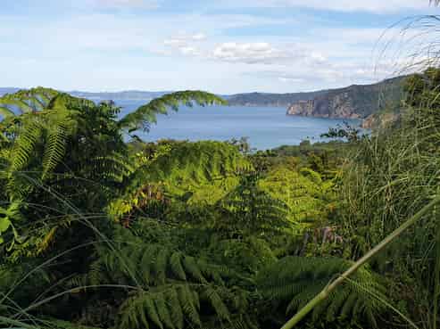 492 Tuateawa Road, Coromandel