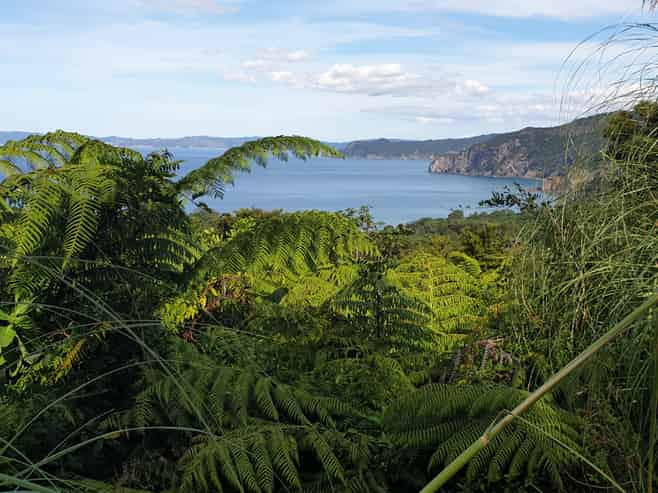 492 Tuateawa Road, Coromandel