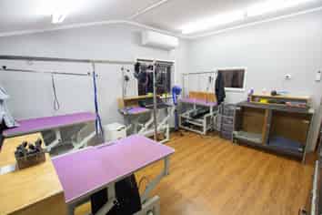 37 Lincoln Road, Addington