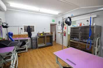 37 Lincoln Road, Addington