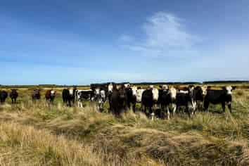 74 Tiwai Road, Invercargill