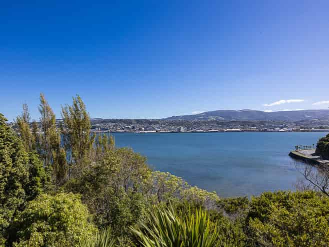 A/8 Doon Street, Vauxhall