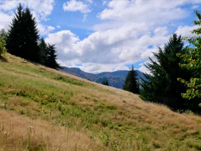 196 Dalefield Road, Dalefield/Wakatipu Basin